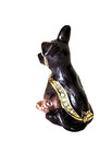 Loyal German Shepard Pewter Bejeweled Hinged Miniature Trinket Box Kingspoint