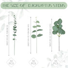 90 Pcs 3 Kinds Mixed Artificial Eucalyptus Leaves Stems Bulk Silver Dollar Leave
