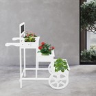 3-tiered Flower Cart Display Stand With Wheels  Plant Rack With Blackboard