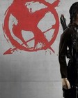 The Katniss Everdeen Costume  Mockingjay Pin For Hunger Games Small  Gold