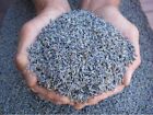 Lavender Flower Buds Dried For Tea Or Herbal Tonics  Sold By The Oz