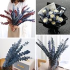 26pcs Real Dried Eucalyptus Stems  17  Blue-green Preserved Eucalyptus Stems    