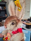 Beautiful Steiff Hare    niki     0134 22     22 Cm     Complete