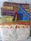 Lizzie B Cre8tive Fall Is All Around Quilt Kit 2009 Includes Fabric And Pattern