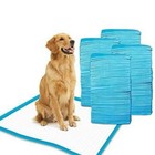 Scented Blue Pee Pads Xl 24x36 Underpads For Dogs Ultra-absorbent 5-layer 50 Pcs