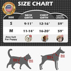 Cat Harness And Leash Set - Adjustable Escape Proof  Soft Reflective Vest Harnes