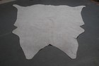 100  New Cowhide Rugs Area Cow Skin Leather  68 x 72   Cow Hide Sa-2553