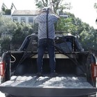 Cargo Net For Pickup Truck Bed   Highly Elastic Truck Cargo Net Suitable For 