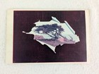 Hotel Del Monte Monterey California Antique Travel Souvenir 1897
