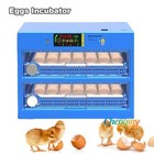Automatic Digital 392 Pcs Eggs Incubator Chicken Hatcher Temperature Control