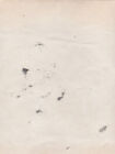 Early 1900s Photo Of 3 Native American Women  Found Photo