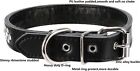 Rhinestones Pet Dog Collar Sparkly Crystal Studded Leather Small Medium Large