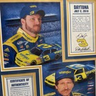 Dale Earnhardt Jr  2010 Daytona Framed Collage   Race-used Tire Coa Rare And Htf
