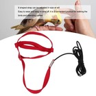 Bird Harness Leash Red Xl