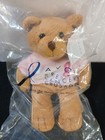 Avon Breast Cancer Crusade Teddy Bear Bean Bag Plush Stuffed Animal Toy 2001 6   