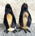 2 Vtg Emperor  Penguin Real Walrus Fur Mid Century 1960s Mcm Faux Taxidermy