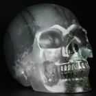 5 0  African Bloodstone Carved Crystal Skull  Realistic  Crystal Healing