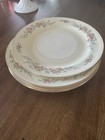 Set Of 5 Vintage Eggshell Nautilus Dinner Plates 10    E58n Ferndale