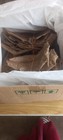 60 Pcs Large 7-10  Organic Indian Almond Leaves Catappa Betta Fish Conditioner