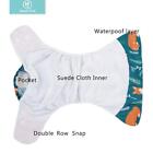 Happyflute 4pcs set Eco-friendly Cloth Diaper Ecological Reusable Baby Diapers