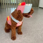 Cute Pet Dog Harness Leash   Vest Hat Puppy Cat Collar For Chihuahua Maltese