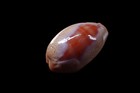 Tatskieshells-  Cypraea Carneola - 29mm  special Pattern    