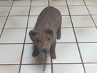 Vintage Early 20th Century Tan Mohair Hump Back Bear Pull Toy Steiff  Schucco 