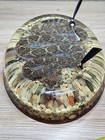 12  Diamondback Rattlesnake Resin Lucite Taxidermy Science Oddity Pen Holder
