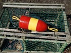 Free Ship 210 Maine Lobster Buoy Nautical Pot Bouy Float Shore Crab Lake Cape