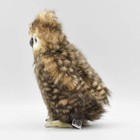 Hansa Plush - 10 Youth Brown Owl New