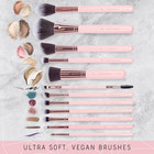 Beauty 15piece Award Winning Pink Makeup Brushes  Pink Makeup Brush Set With Cas
