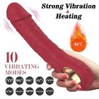 Handheld Massager Wand Vibrating Massage Magic Full Body Therapy Motor 10 Speed