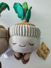 Greenhouse By Russ 12 Inch Casey The Fiddle Tree Plush Plant New With Tag