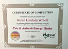 Distance Pet Reiki Energy Healing Session New Beginnings Comfort  Healing   Supp