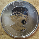 2012 Canadian  5 Canada Cougar  9999 1 Oz Silver Bullion Coin