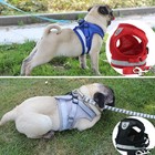 Pets Puppy Leash Control Harness Dog Cat Soft Mesh Walk Collar Safety Strap Vest