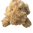 Vtg 1996 Eden Marc Arthur Dog Pal Plush 14 Inch Pbs Floppy Stuffed Animal Ribbon