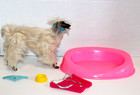 Barbie s Vintage Pet Dog Afgan Hound Beauty With Bed   Accessories