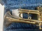Holton Collegiate Cornet