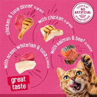 Surfin  And Turfin  Variety Pack  Wet Cat Food  5 5 Oz Cans  48 Count 
