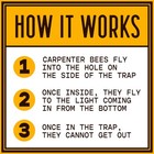Outdoor Carpenter Bee Trap
