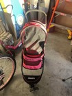 Dog Stroller