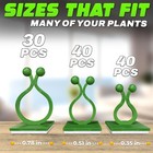 Plant Wall Clips For 1 45   30 Pcs   1 37   40pcs   1 03  Green 