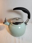 Vintage Seafoam Green Enamel Tea Pot