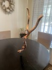 Manzanita Wood  Driftwood  Reptile Tank Decor  Fishtank Aquascape Or Terrarium 