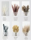 120 Pcs Dried Pampas Grass Decoration  With Light Brown 