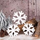 3 Pieces Christmas Country Snowflake Decor Winter White Snowflakes Farmhouse 