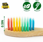Biodegradable Bamboo Toothbrushes  10 Piece Bpa Free Soft Bristles Toothbrushes 