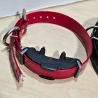 Dogtra Arc Remote Dog Training Collar W  Charger  remote   2 Collars
