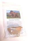 1  Authentic Triceratops Dinosaur Bone Fossil- Paleocene Era -jordan Montana Usa